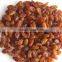 BEST SUPPLIER SULTANA RAISIN FROM INDIA