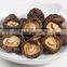 2016 Dried shiitaki mushroom 250g
