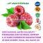 natural raspberry powder manufacture ISO, GMP, HACCP, KOSHER, HALAL certificated