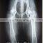 Portable and High Frequency veterinary x-ray machine