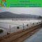 150 mircons greenhouse uv plastic cover,agricultural poly film for produce vegetable and fruit