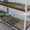 152 Seedling retail containers Seedling European flower trolley Seedling pot plant trolley