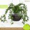 Home Decor Hydroponic Flower Growing Pots