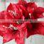 SJ13001116 Artificial clivia flower/silk kaffir lily flores