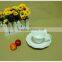 chinese new Products Cheap promotion ceramic cup and saucer