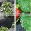 pp woven weed control black plastic mulch ground cover