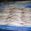 Frozen Hilsa Fish