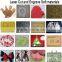 High Value cnc mini label laser cutting machine MC 1290