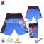 Platisal Print Beach Shorts, Beach Wear for Men