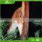 Kawah Mechanical Robotic Vivid Dinosaur T-Rex Head