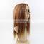 Popular Original Virgin Human Hair Natural Straight Lace Wig