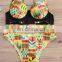 Sex Women Photo Africa Printing Bikini, Wholesale Summer Swimwear