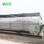 China easily to maintain low cost greenhouse commercial plastic vegetable greenhouse