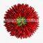 Almond,Black pepper,red peeper Seed Oil Press Machine/Oil Expeller /Oil Press