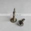 galvanized Top selling self drilling screw