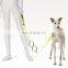 2020 spring NEW design! Colorful nylon decompress High quality comfortable adjustable pet dog Leash