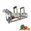 automatic high pressure spray fruit and vegetable bubble washer dried fruits washing machine