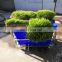 hydroponics Forage grass planting machine grass growing containers 40 HQ container type widely use