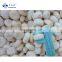 Sinocharm New Season Fresh IQF Peeled Water Chestnut Frozen Whole Water Chestnut