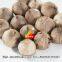 Black Garlic Product Bulk Sale