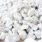 CACO3 powder for PVC pipe from VIet Nam