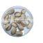 pistachio with premium quality cheap price wholesale bulk supplier