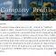 Ningbo Excellent New Materials Co Ltd.