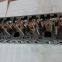 ISM11 QSM11 Cylinder Head 2864028