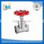 casting 2 inch stainless steel gate valve bsp