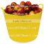 5.5 Gallon Storage Tubtrug