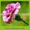  china factory direct 2015 best selling carnation with lily flower