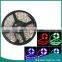 12V 5m Waterproof Cheap LED Strip Light