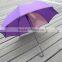 Purple Umbrella With Bufferfly Tie
