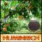 Huminrich Shenyang Bio Active Organic Potassium Humate With Fulvic Acid