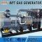 CE 250kw low noise natural gas generator from China top manufacture
