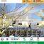 300 seaters tent luxury event party tents for sale in Dubai
