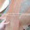 TC300E Veneer Finger Jointer