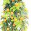 factory sale cheap small orange fruit TREE