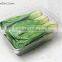 2.5kg Capacity Disposable Clear Plastic Punnet for Vegetable