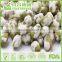 Salted roasted green soybeans non-GMO edamame