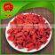 Stronger SEX Chinese goji berries dried berry fruit for weight loss gojiberry