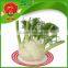 Best Quality Fennel with Good Price