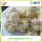 2015 New crop Chinese organic Frozen Cauliflower