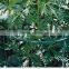 Garden Cradle Wire Climbing Plant Support Stick