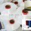 300D--3000D high tenacity pp yarn polypropylene multifilament FDY yarn