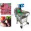 Automatic Vegetable Cutter