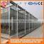 China Factory Direct Greenhouse With Wind Resistance Steel Frame