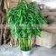 LF101616 Artificial bamboo plants/hot sale real trunk fake bamboo plants