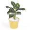 bamboo fiber flower pot