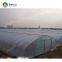 Simple galvanized steel frame single span polyethylene film Greenhouse For Sale